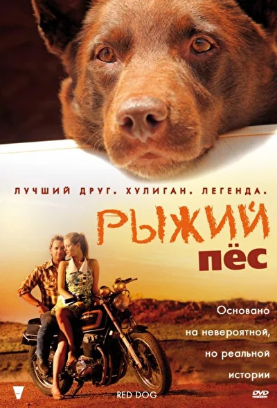 Постер к фильму